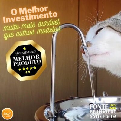 Fonte Gato e Vida